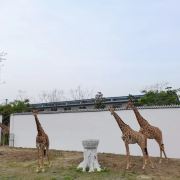 阜阳野生动物园