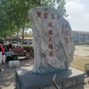 周家庄农业特色观光园
