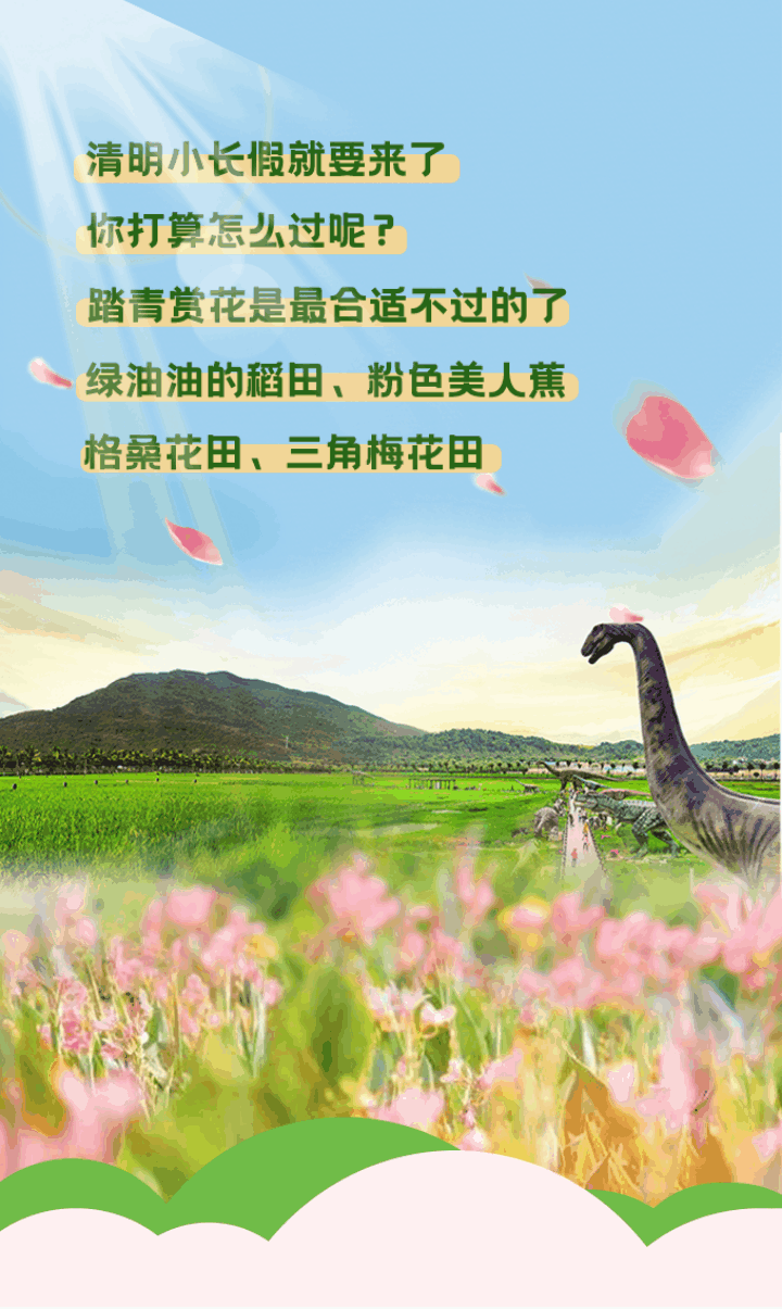 清明踏青快乐田园游,三亚水稻公园全家总动员