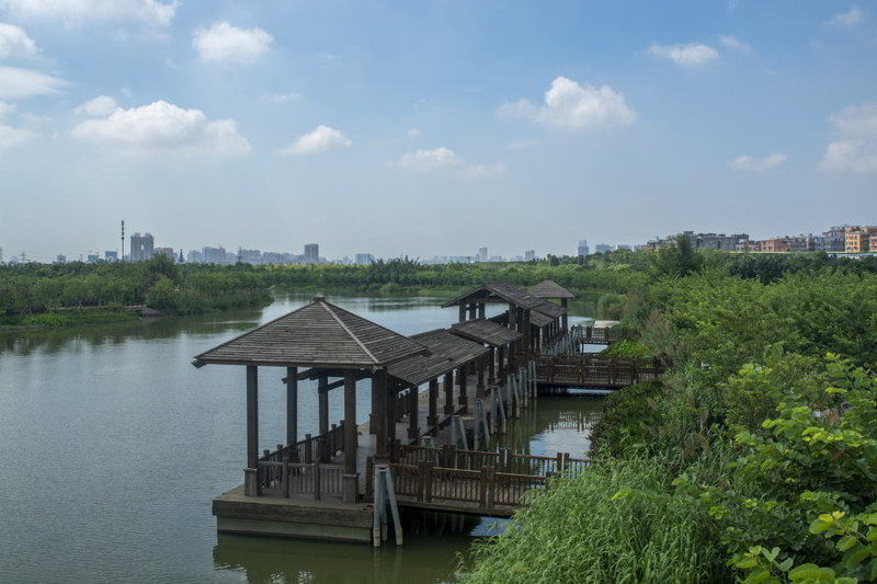 海珠湿地公园位于广州海珠区海珠湖公园东侧,两个景区相依不相连