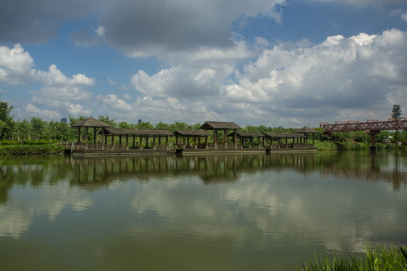 广州海珠区海珠湿地公园空气新鲜景色优美