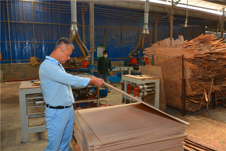 图为广西灵山县桂源木业有限公司工艺先进的生产车间一角 .