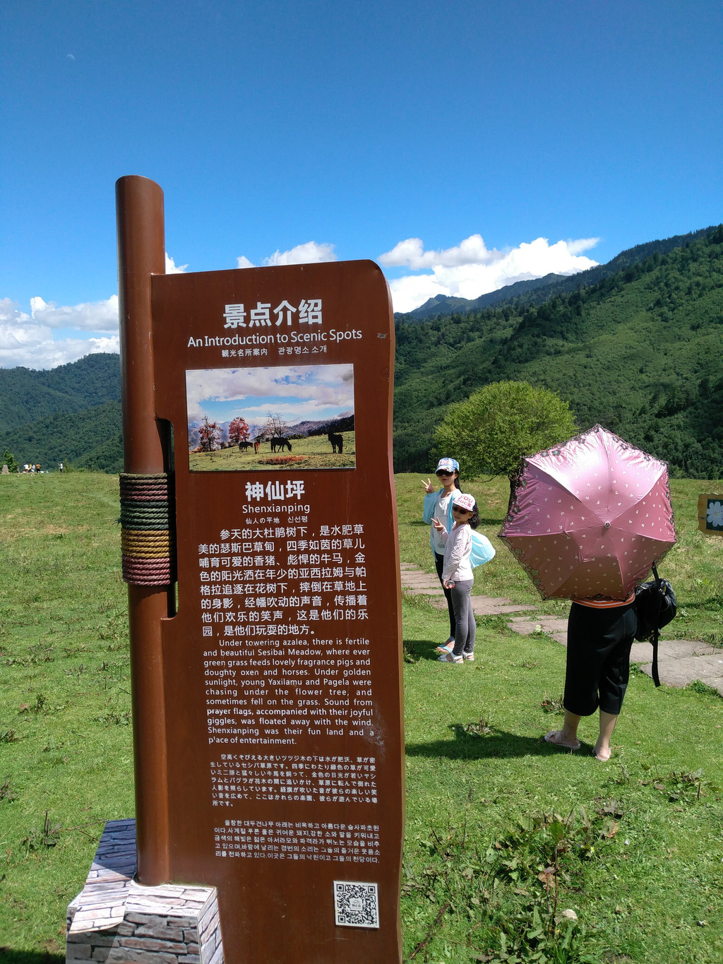 漫步川西大熊猫环线——上里古镇,碧峰峡,东拉山大峡谷,神木垒,蜂桶寨