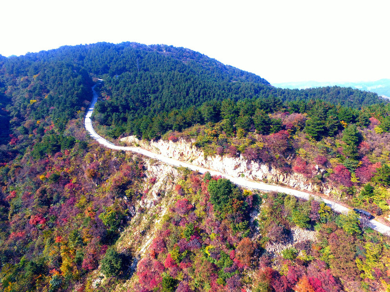 桐柏山淮源风景区