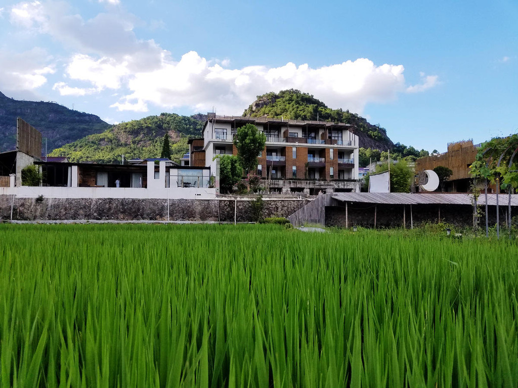 十周年纪念:永嘉·石桅岩·悦庭楠舍