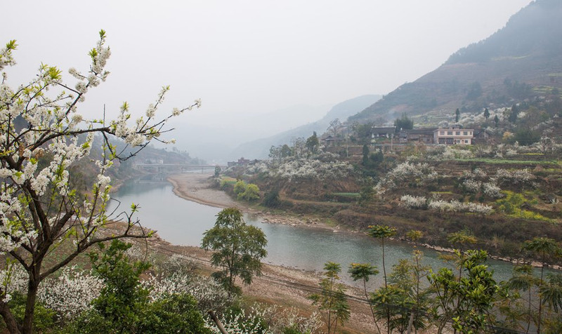 叙永县赤水镇乌蒙花海游记!