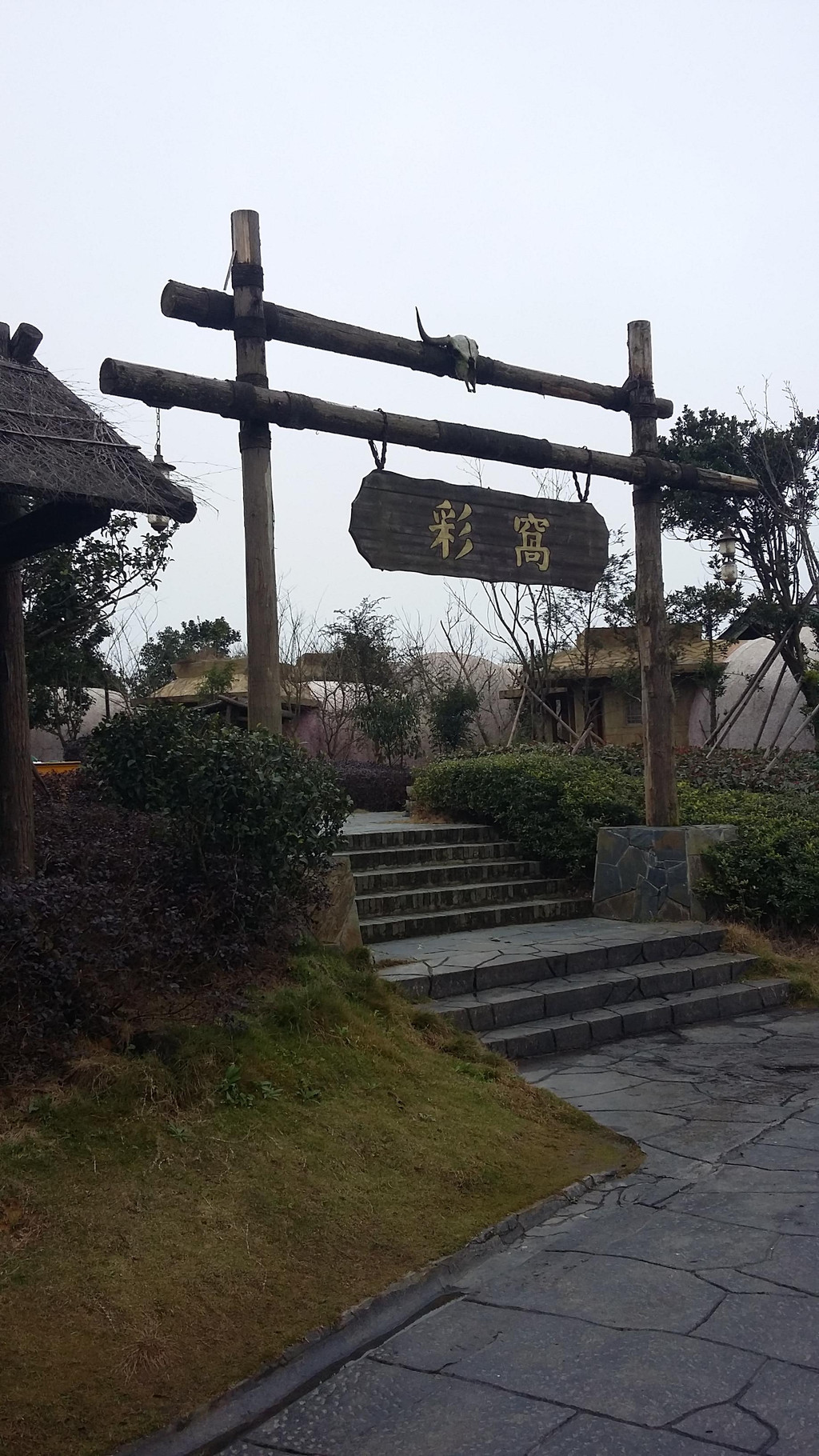除了金窝,银窝,喜窝,乐窝外,还有彩窝.