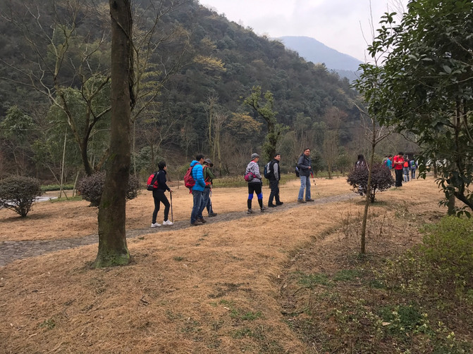 阳光明媚二月天 春风送我上青山 ——宜兴铜官山,长兴