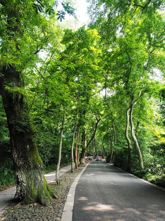 坐拥西湖山色,私享九溪烟树无敌亲水风景,盛夏你值得来一趟