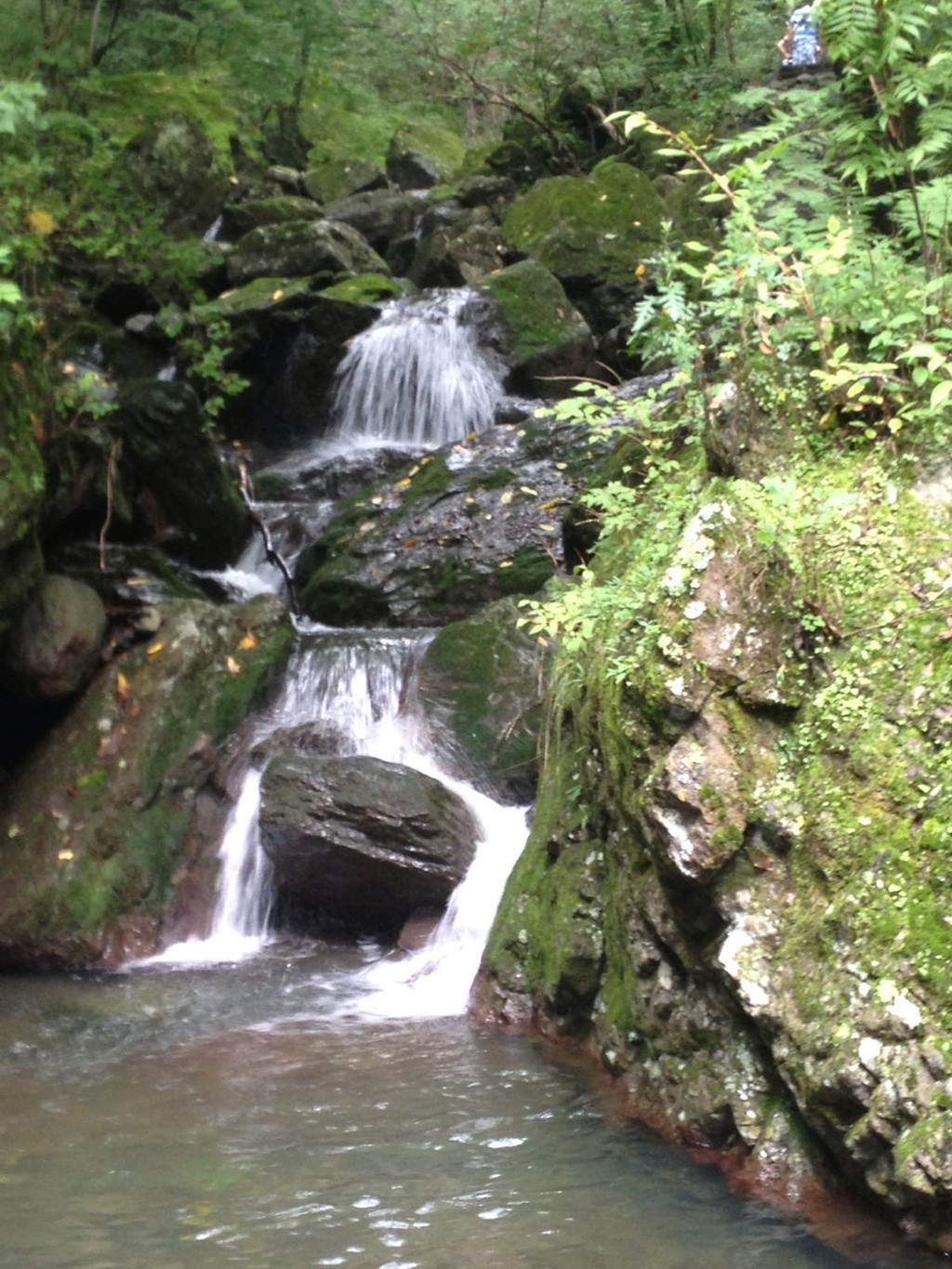 青山沟虎塘沟                              