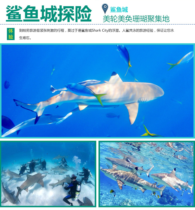 帕劳6日5晚自由行·香港直飞太平洋航空+灯塔酒店+机