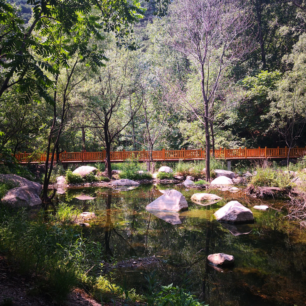 耳听林中交织溪水,鸟语声,眼观峡谷丛林景色,呼吸山林清新空气,小鸟