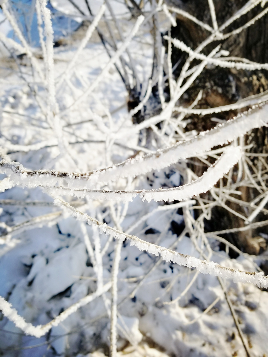 【北京|哈尔滨|吉林】我独自一人|一路向北去看雪