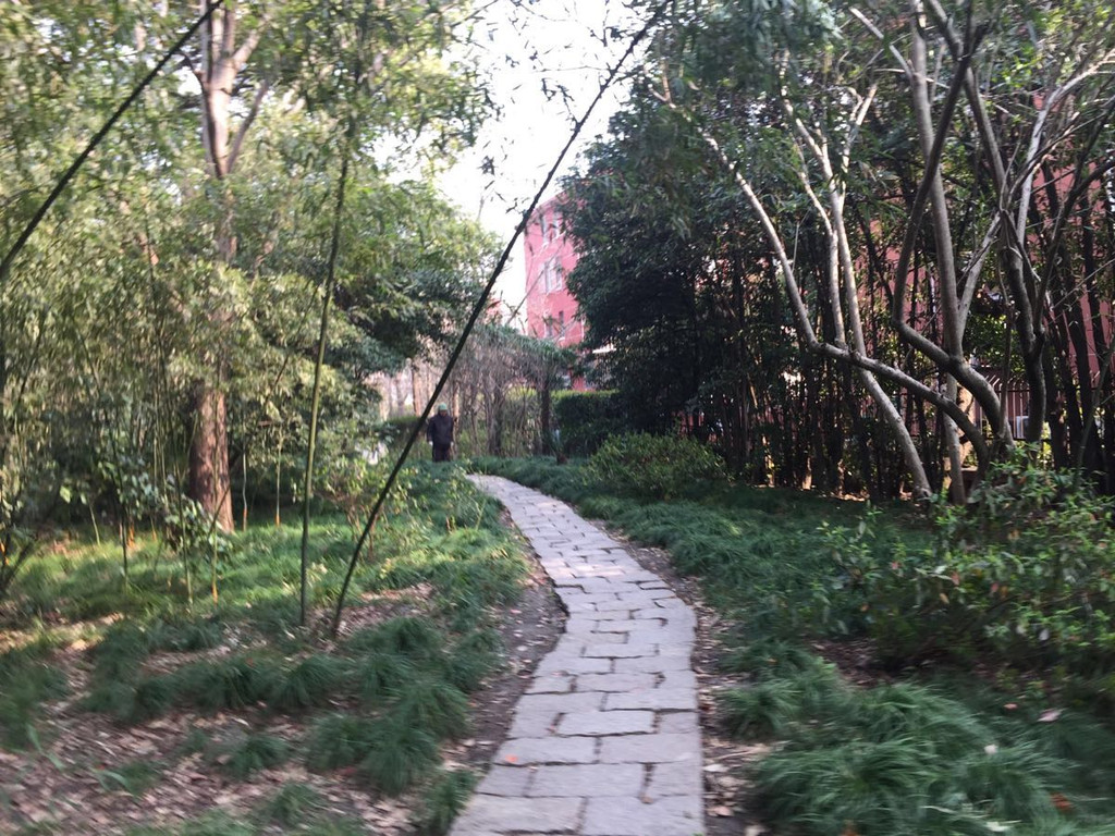 徐家汇源之光启公园,漕溪公园,土山湾,天文台,教堂行
