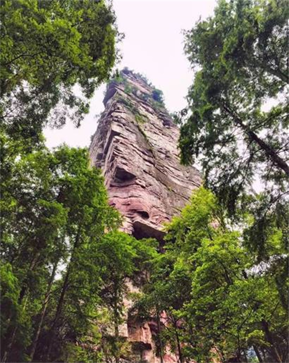 路边随处可见各种石峰.金鞭山,金鞭溪因此而得名.