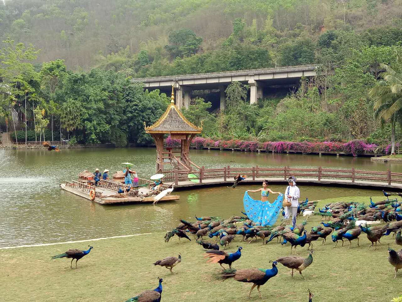 最传统的傣族泼水节|西双版纳小众旅行,美景美食美图带你玩转六天五夜