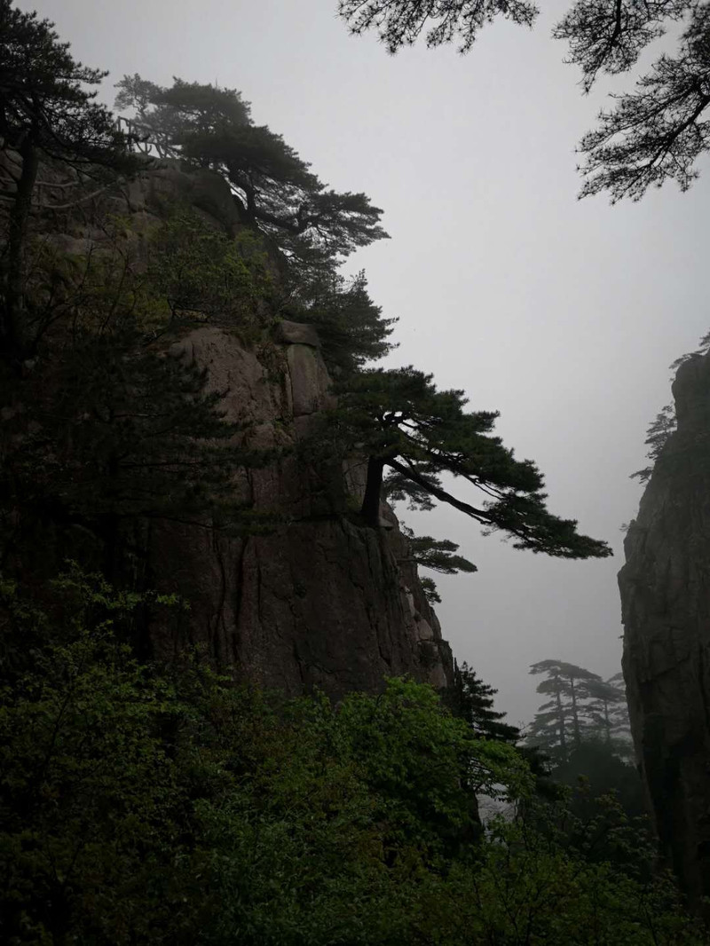 盈盈山水行——黄山,千岛湖,婺源,三清山