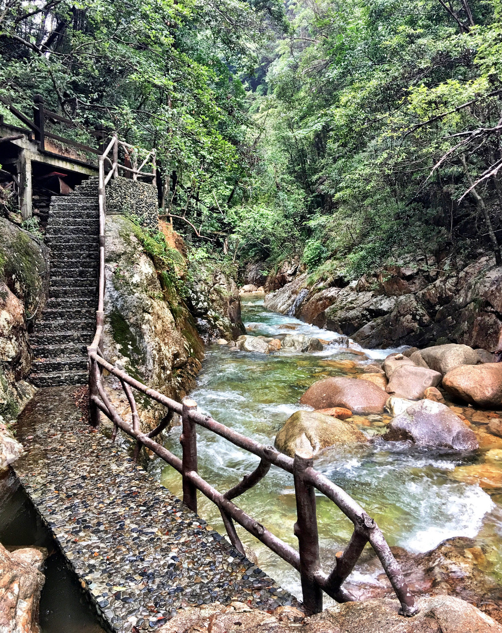 情满山水牯牛降,诗意人生祁门红——详记祁门牯牛降三天两夜文茶旅