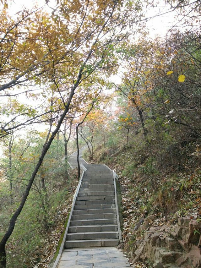 巩义紫龙峡攻略,巩义紫龙峡门票/游玩攻略/地址/图片/门票价格【携程