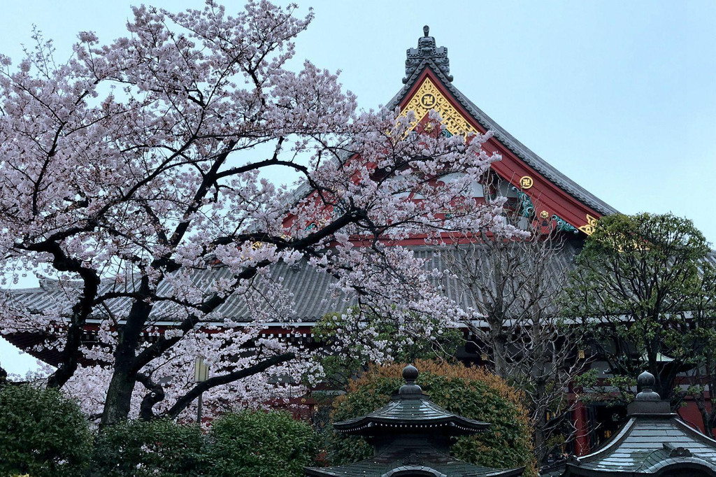 浅草寺                                    