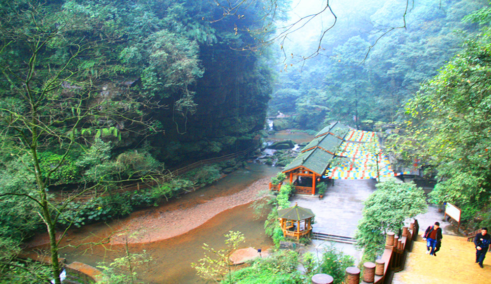 那一年,"川"梭中的回忆:足迹四川雅安---碧峰峡,上里古镇,大熊猫园