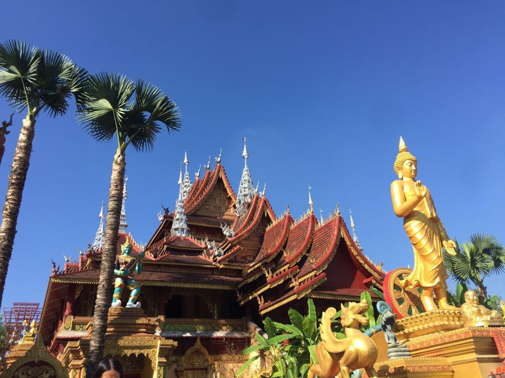 版纳印象 版纳保险