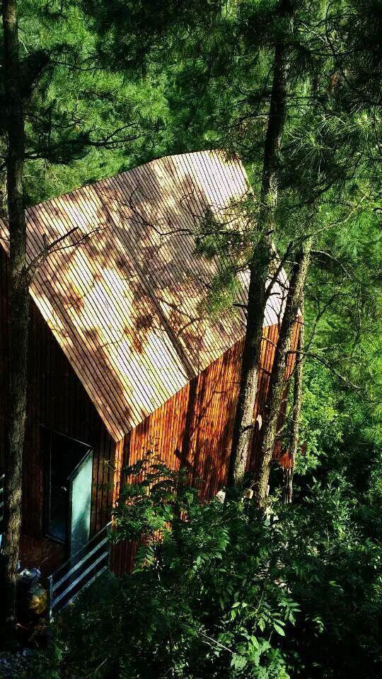 美岕山野温泉度假村,秘境森林树屋,深藏不露的美!