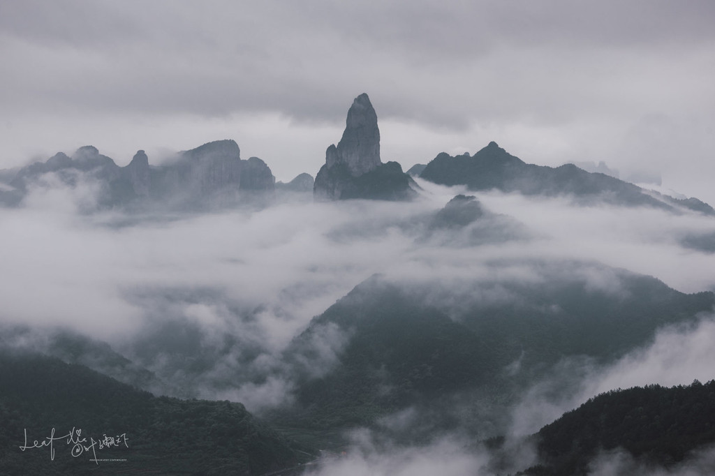 ɾԵɽ