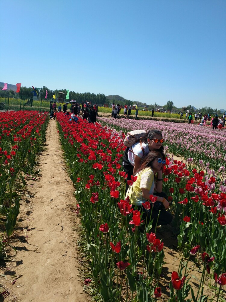 周六游狼牙山花海