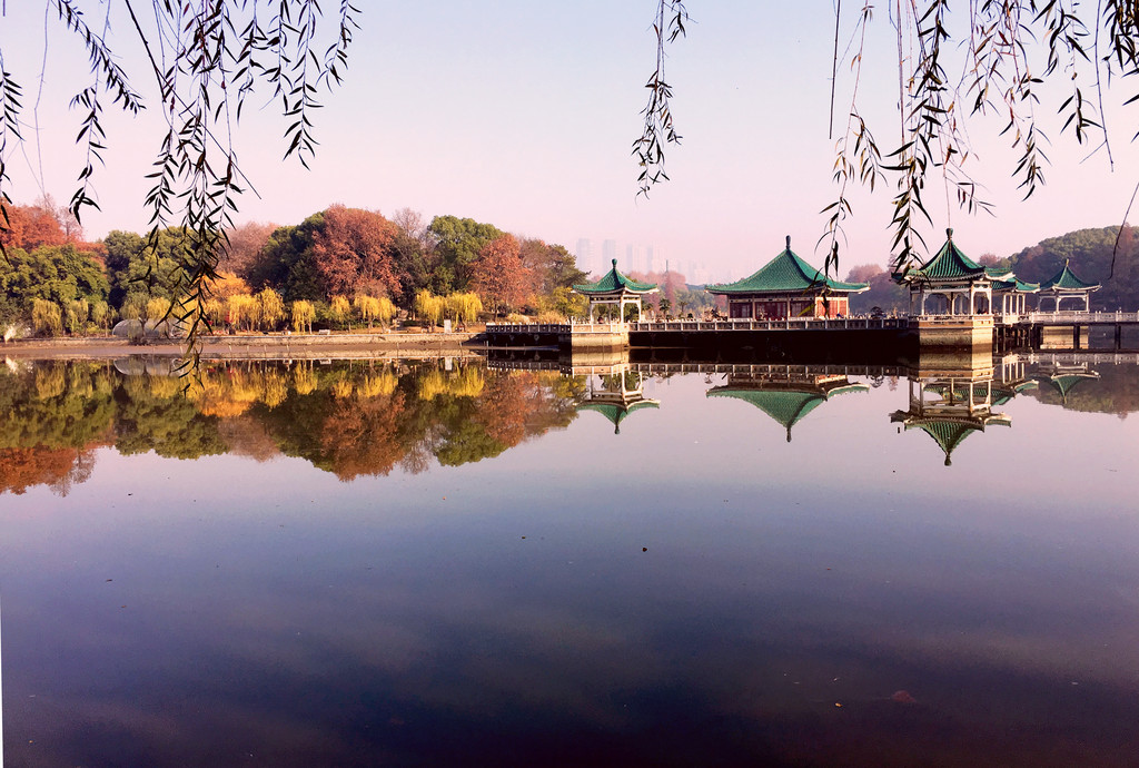 莫道涛声依旧且看水榭琼楼东湖听涛风景区碧潭观鱼
