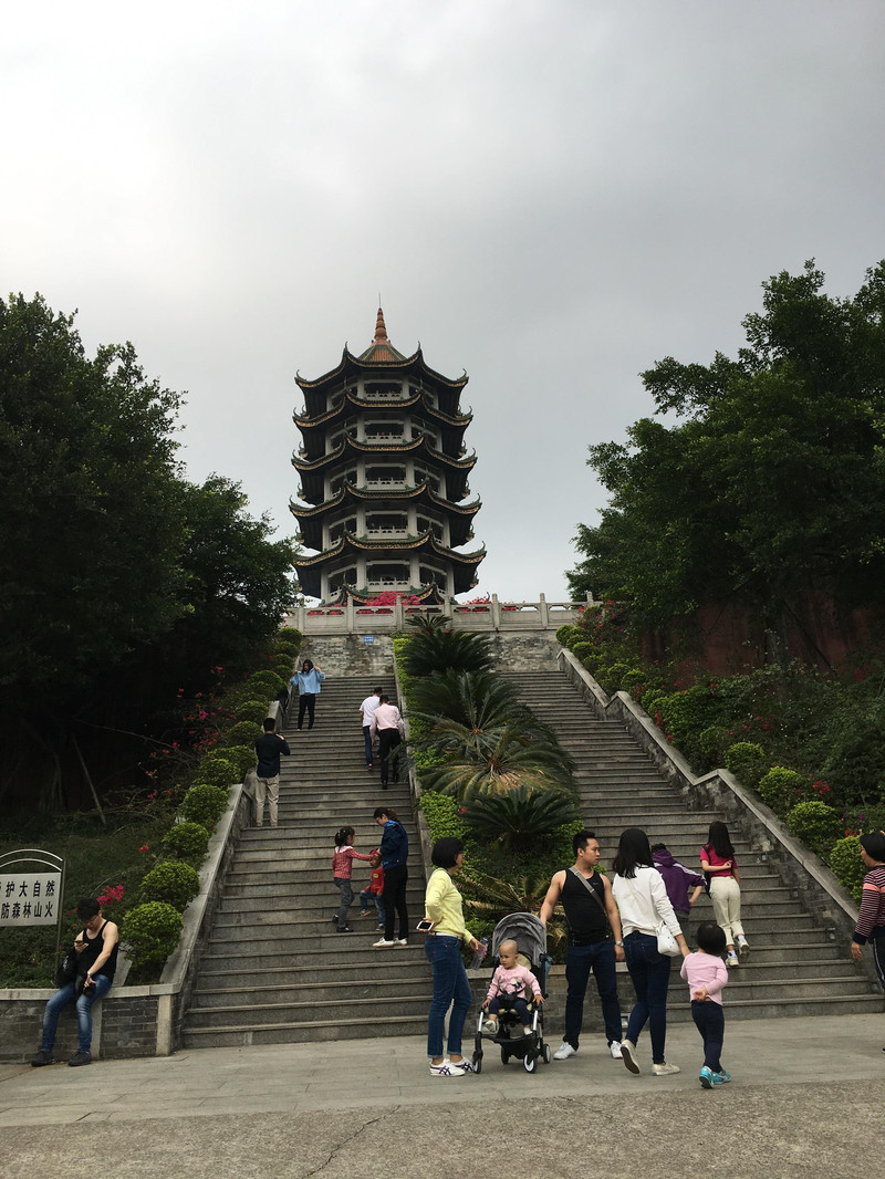 春天踏足广州十八罗汉山森林公园,看绿树赏红花醉游人