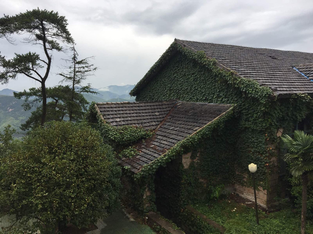 美好的假期少不了你们 莫干山 武陵村