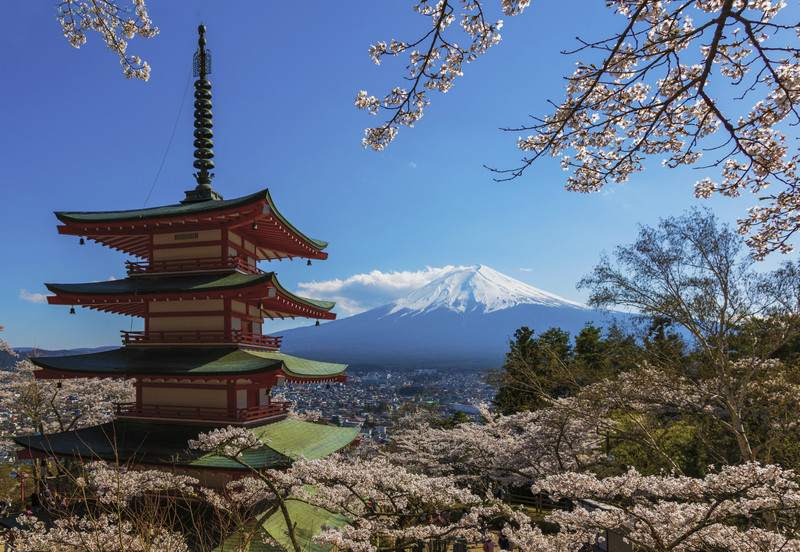 奈良-京都-大阪-岐阜-长野-富士山-东京,7天6晚武汉-日本游记