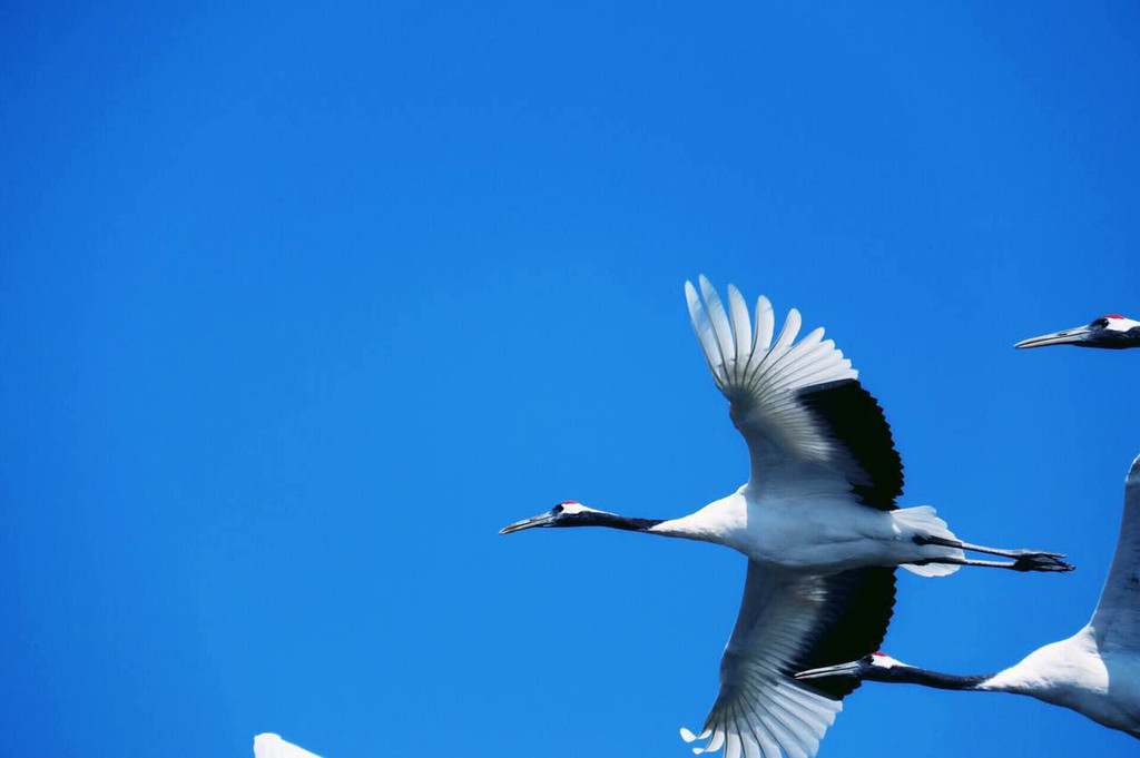 ϵ,ٿһ(,,ľ,,