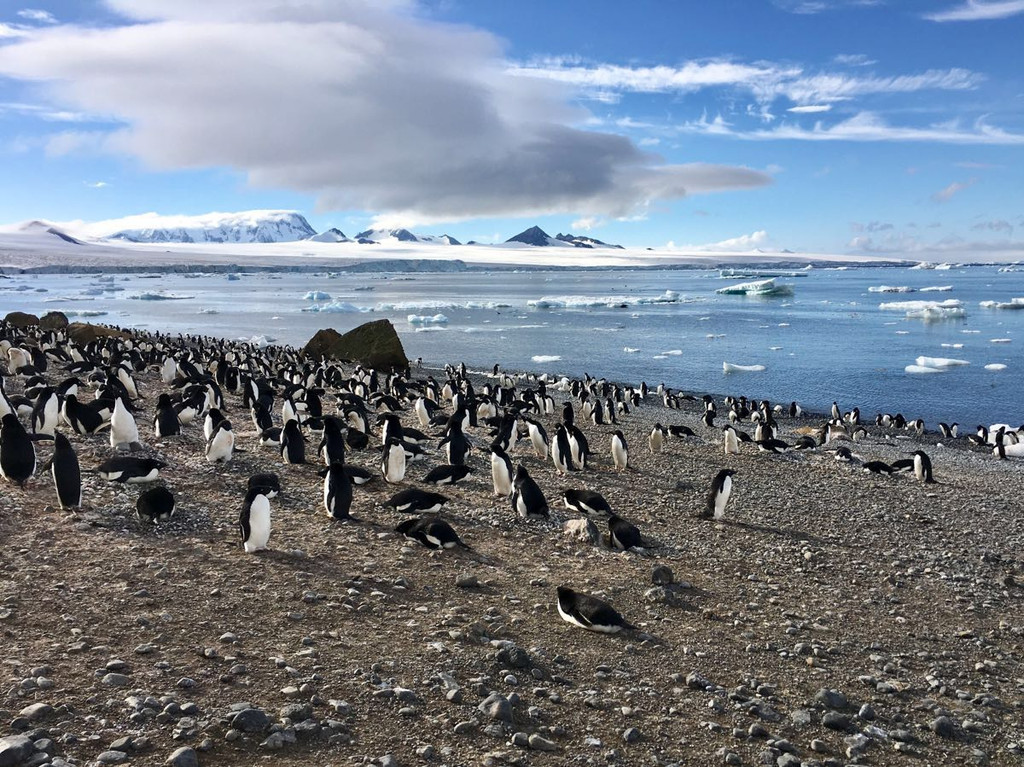 2016-12-15 登上保莱特岛和南极半岛大陆布朗海崖 上午7点起床,9点半
