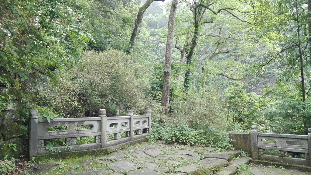 杭州,西天目山游记(二)