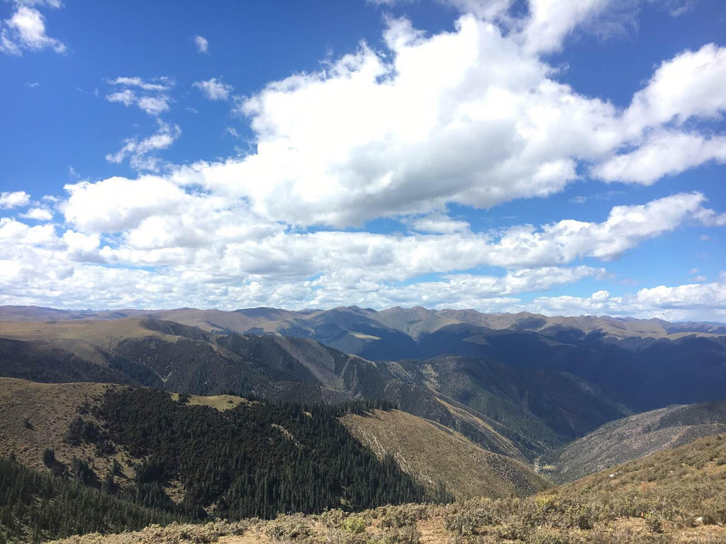 理塘卡子拉山