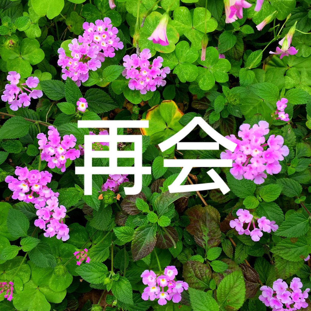 再会  