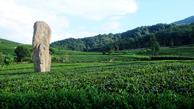 杭州龙坞茶村