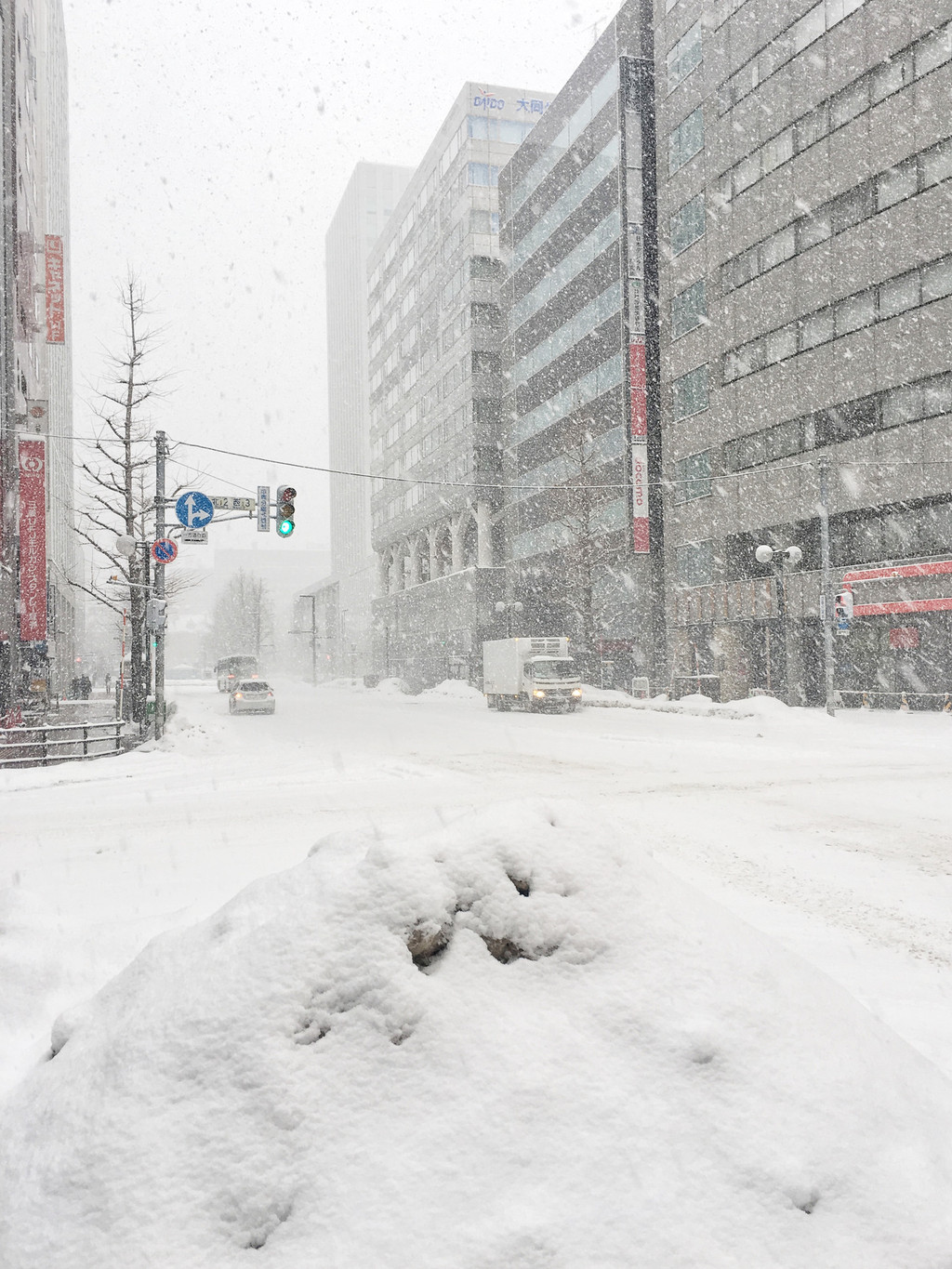 为了赶jr,6:40出门.鹅毛大雪,继续在风中纷扬而落.