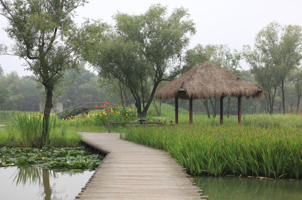 雨的印记:2016年6月8日杭州西溪湿地公园2——西溪湿地中区——烟水渔