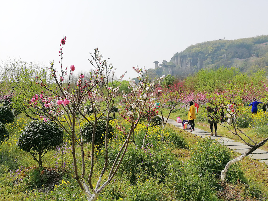 2.吼山赏桃花