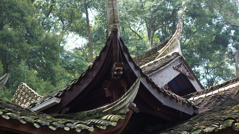 往西蜀行之拜水都江堰,问道青城山,感受大成都