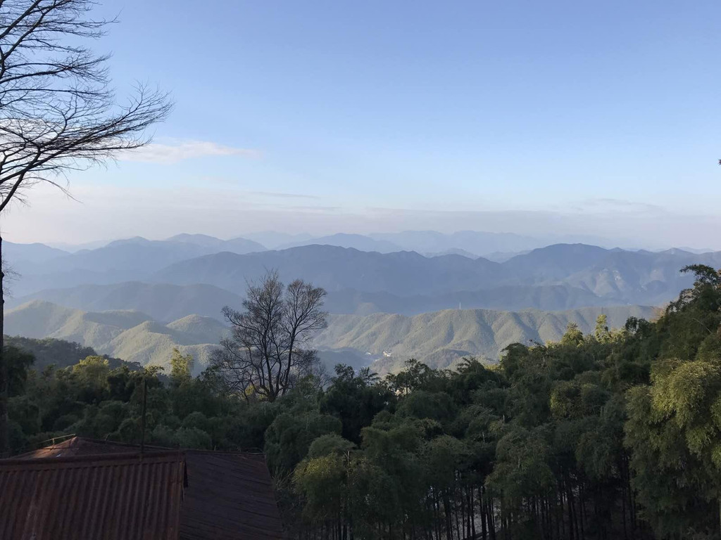 寂静莫干山