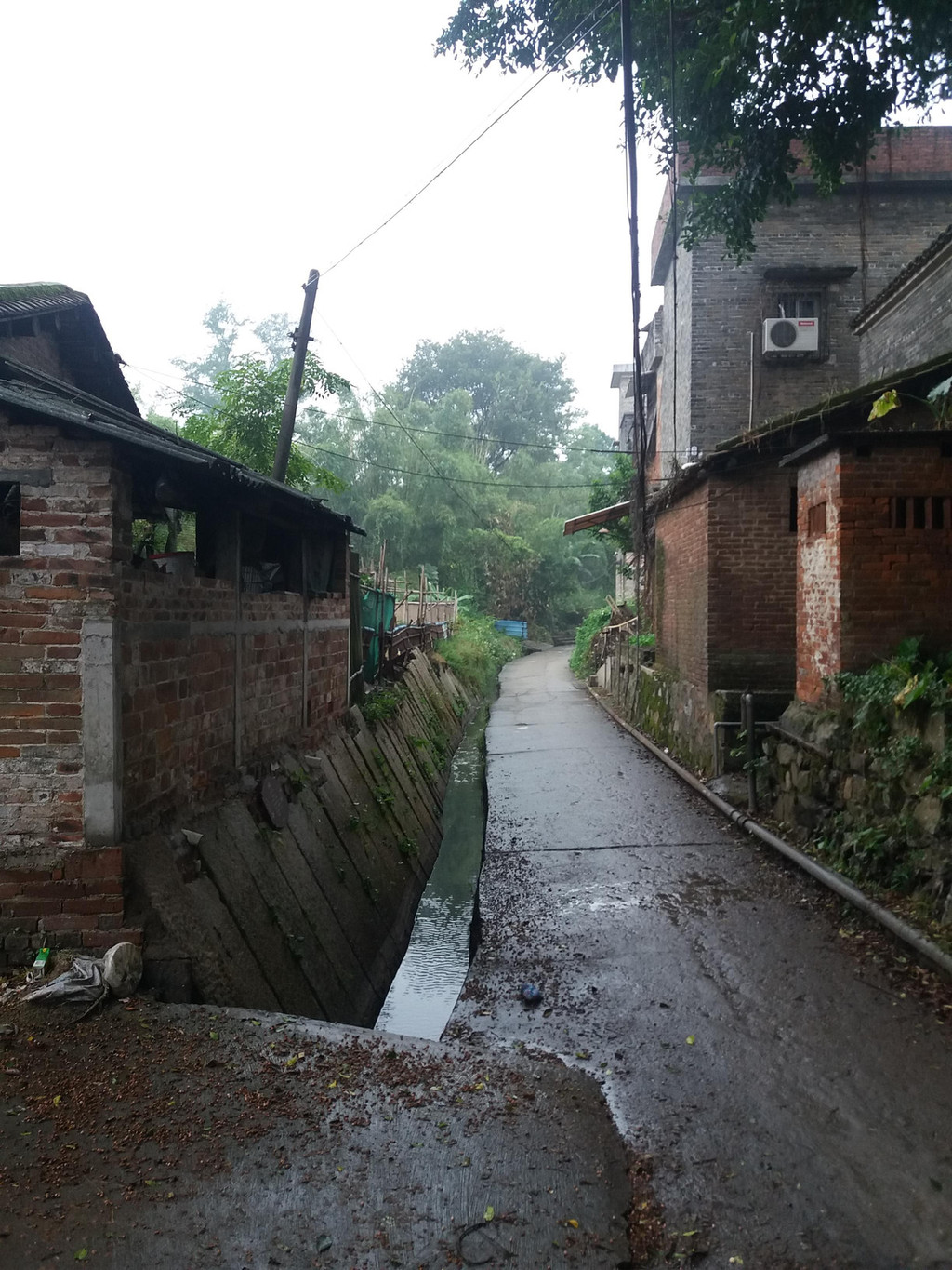 代水乡人美好生活的梦想——广东省江门市鹤山市古劳镇古劳水乡踏访记