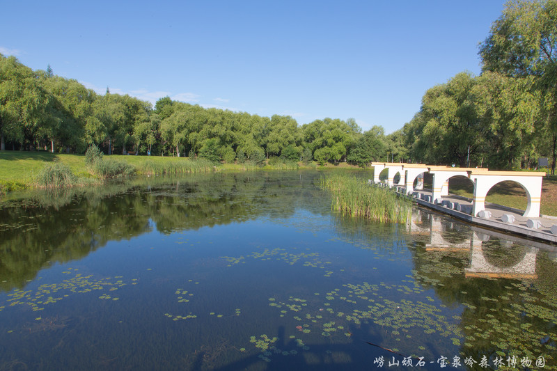 重返黑龙江宝泉岭-知青寻梦之旅
