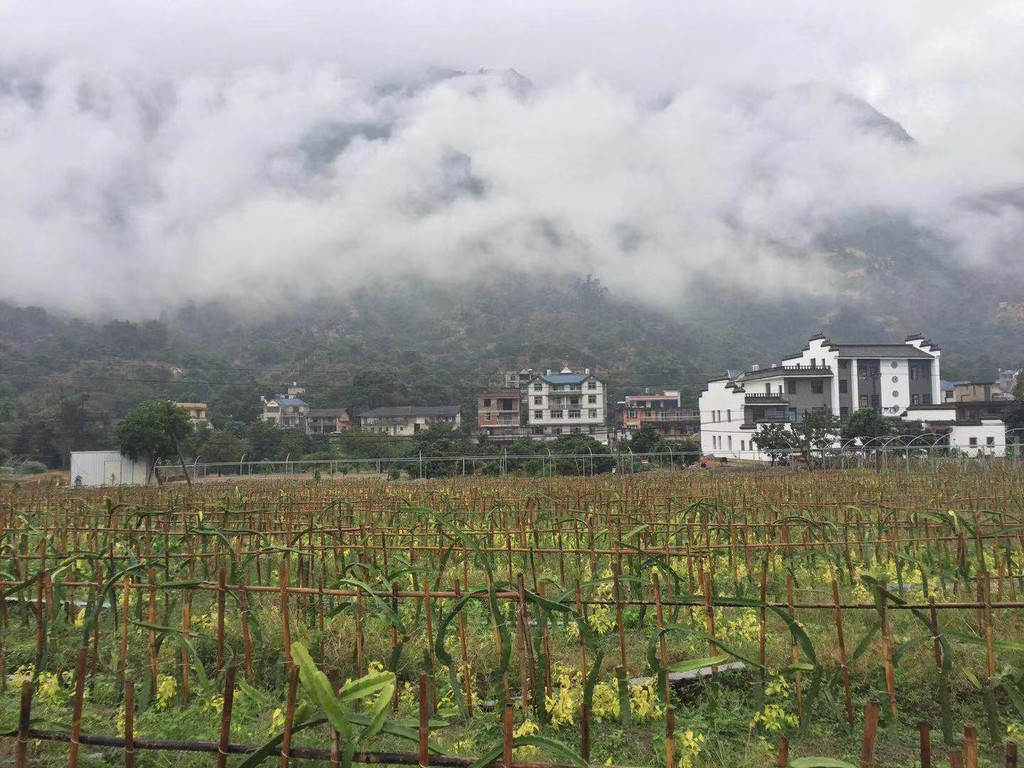 风景这边独好,闽侯竹岐半岭村