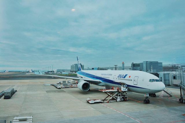 从上海浦东飞到东京羽田机场转机,下一站北海道札幌的新千岁机场.