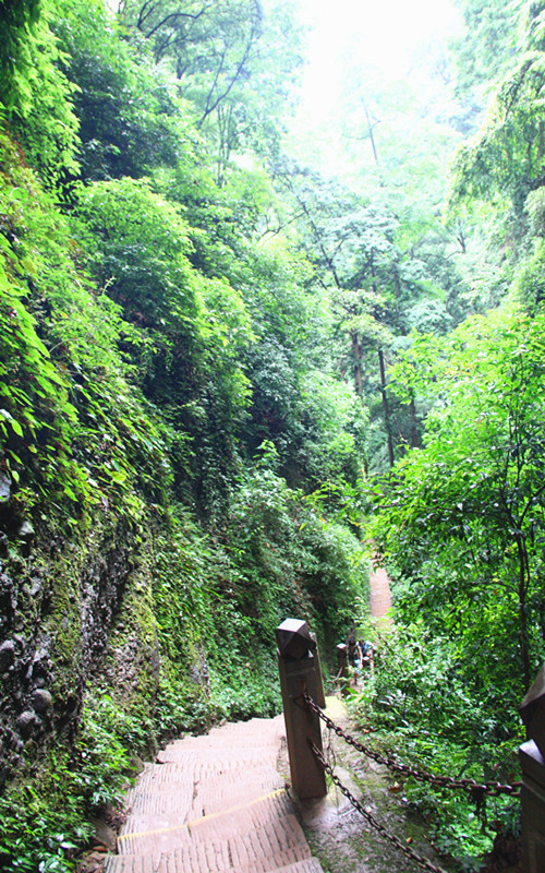 那一年"川"梭中的回忆:足迹四川青城山—四川青城山前山后山,老君阁