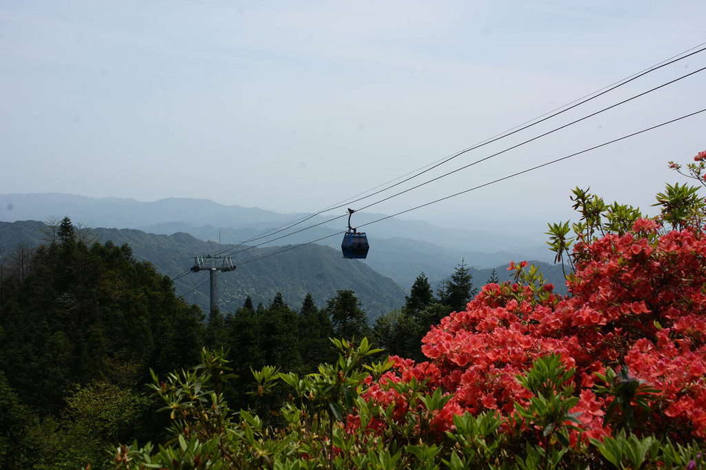 杜鹃山索道.